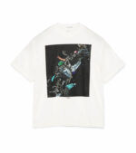 Nanamica OOAL Photo Print Tee